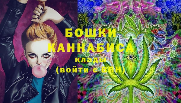 ПСИЛОЦИБИНОВЫЕ ГРИБЫ Ессентукская