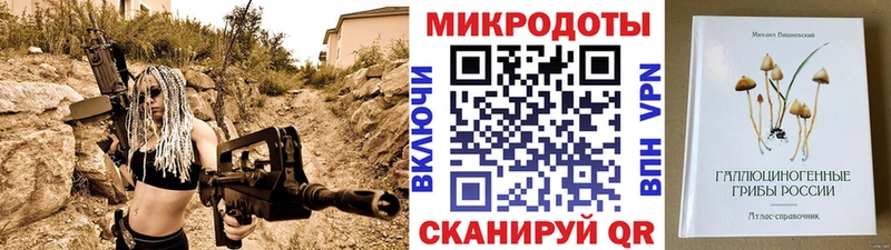 Галлюциногенные грибы ЛСД  darknet Telegram  Балей  купить   hydra как зайти 
